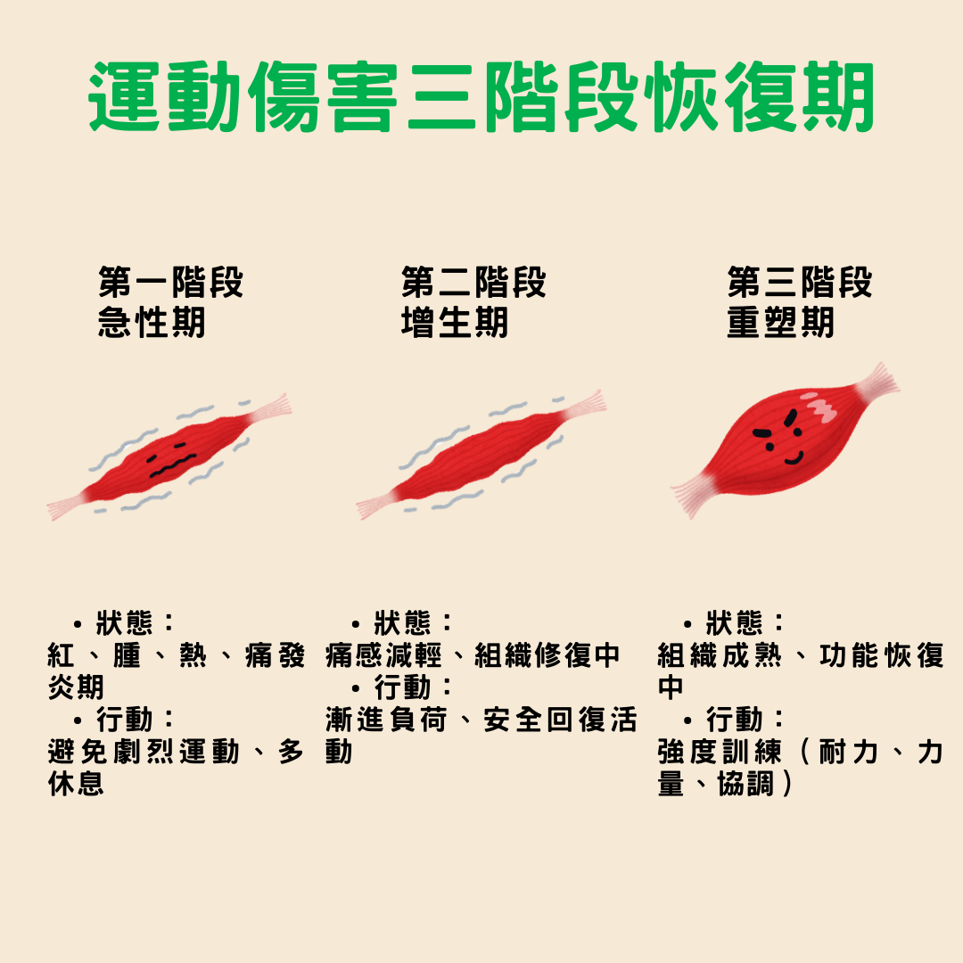 運動後肌肉痠痛、拉傷、受傷怎麼吃？營養補充攻略一次看！ - Welltivity